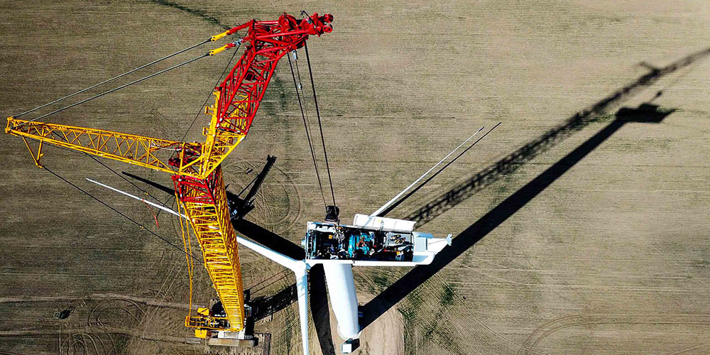 LR1500 Siemens RMS Cranes