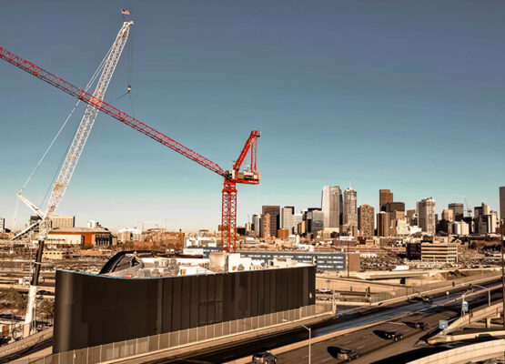RMS Cranes x Meow Wolf Denver